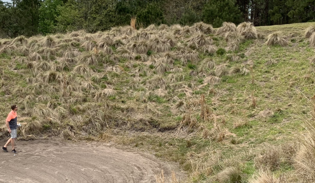 The Pro in Big Bertha